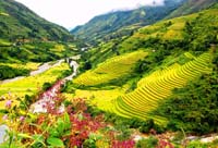 Travel To Vietnam